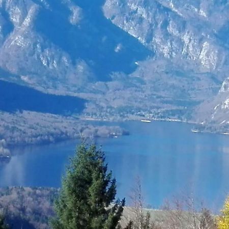 דירות Koprivnik v Bohinju Apartmaji Korosec Na Koprivniku מראה חיצוני תמונה