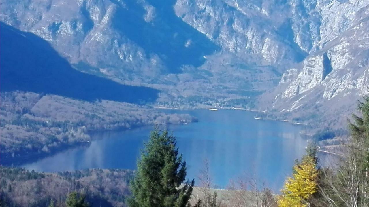 דירות Koprivnik v Bohinju Apartmaji Korosec Na Koprivniku מראה חיצוני תמונה